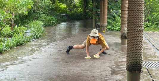 Mandai_2.png